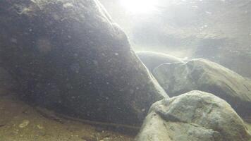 Innere Aussicht von ein Fluss mit groß Stein und Wasser Partikel Vorbeigehen video