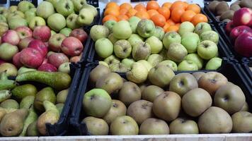 Fruit at Market video