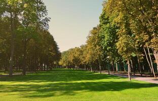Green and orange trees in beautiful park. Floral and natural autumn landscape photo