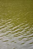 The texture of dark river water under the influence of wind, imprinted in perspective. Vertical image photo