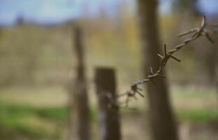 toma macro de un elemento de alambre de púas viejo y oxidado con un fondo borroso. fragmento de una valla de aldea de un sitio territorial foto