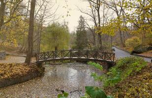 Beautiful Nature Autumn landscape with small bridge. Scenery view on autumn city park with golden yellow foliage in cloudy day photo