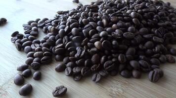 Close up of seeds of coffee video