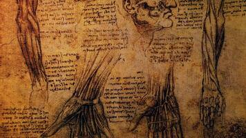 leonardo da vinci Anatomie Kunst Zeichnung video