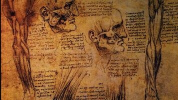 leonardo da vinci anatomie kunst tekening video