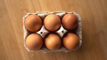 Pack of Chicken Eggs video