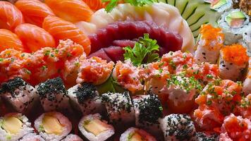 Sushi Food Background video