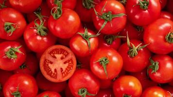 Colorful Organic Tomatoes video