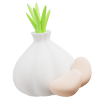 Garlic 3d icon png