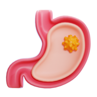 stomach 3d icon png