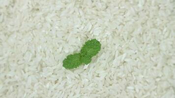 top view of white rice on rotary display. video