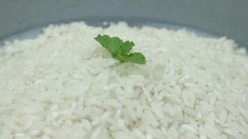 parte superior ver de blanco arroz en giratorio mostrar. video