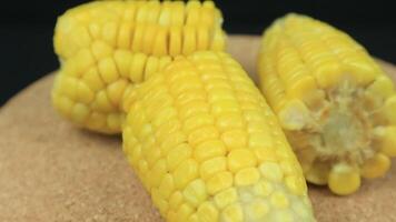 a cob of corn in a rotating display case in close-up, black background video