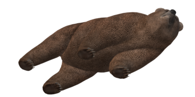 Castanho Urso isolado em uma transparente fundo png