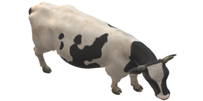 vaca aislado en un transparente antecedentes png