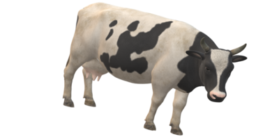 vaca isolado em uma transparente fundo png