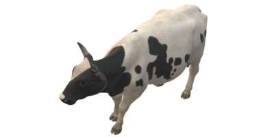 vaca aislado en un transparente antecedentes png