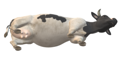 vaca isolado em uma transparente fundo png