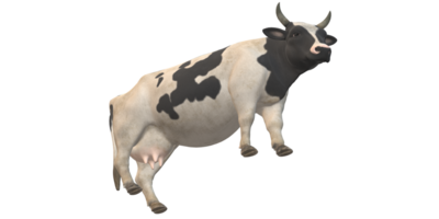 vaca isolado em uma transparente fundo png