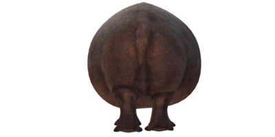 hippopotame isolé sur une transparent Contexte png