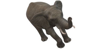 elefante isolado em uma transparente fundo png