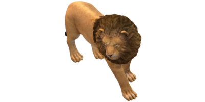 Lion isolé sur une transparent Contexte png