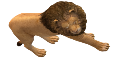 Lion isolé sur une transparent Contexte png