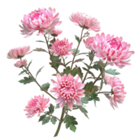 Gorgeous pink flowers bloom isolated on transparent background AI-Generative png