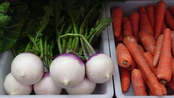 Gemüse auf das Markt video