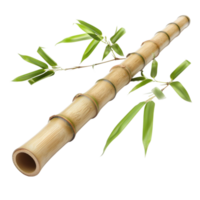 bambu com uma verde caule,,um bambu bastão com bambu em isto ai-generativo png