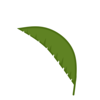 Green Leaves For Decorations png