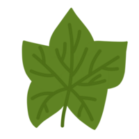 vert feuilles pour décorations png