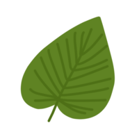 Green Leaves For Decorations png