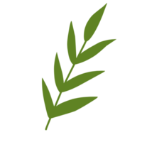 Green Leaves For Decorations png