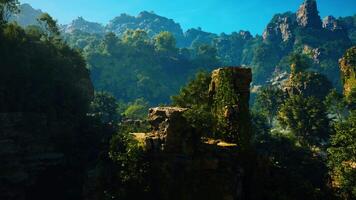 une scénique vue de une Montagne intervalle avec des arbres et rochers video