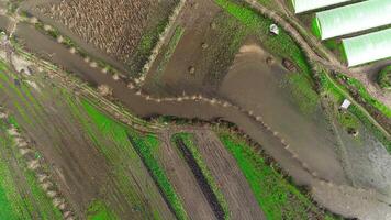 aérien vue de le inondations dans village video
