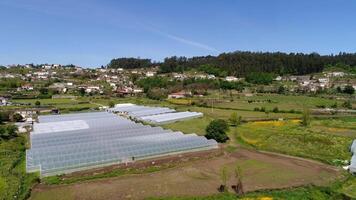 serres dans le campagne. rural paysage video