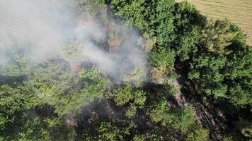 Forest Fire Aerial View video