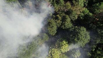 Forest Fire Aerial View video