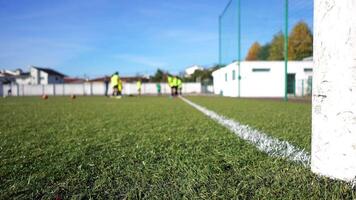 multidão mulher futebol Treinamento video