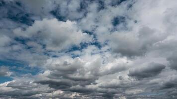 gezwollen wit wolken in de blauw lucht video