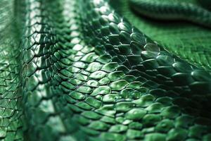 AI generated Green luxury snake skin texture for background. photo