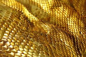 ai generado serpiente piel textura piel textura oro pitón serpiente piel textura antecedentes. foto