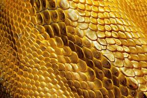 AI generated snake skin texture  skin texture  Gold python snake skin texture background. photo