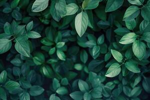 AI generated Green Leaves background photo