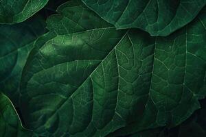 AI generated Green leaf texture. Leaf texture background  Green leaf photo