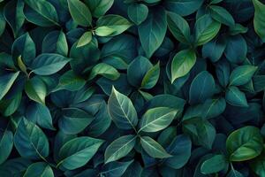 AI generated Green leaves pattern background  Natural background and wallpaper photo