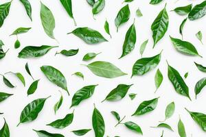 AI generated Tea leaves on a white background photo