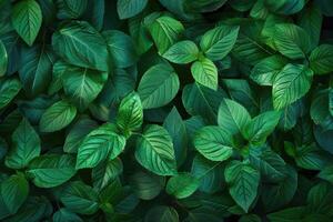 AI generated green leaf  green leaf background  green leaf background photo