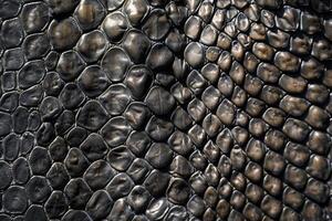 AI generated snake skin pattern photo